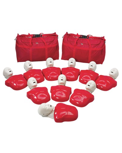 Basic Buddy™ CPR Torso, 10-Pack
